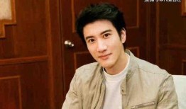 娱乐圈大爆料王力宏是谁,王力宏的神秘面纱