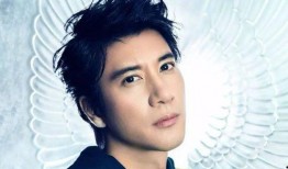 娱乐圈大爆料王力宏是谁,王力宏的神秘面纱