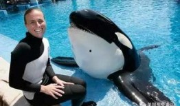 黑鲸在线观看,揭秘深海巨兽的惊悚传奇