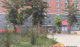 石家庄三院爆料最新消息,揭秘事件真相与进展