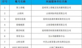 云南新闻爆料账号,揭秘神秘事件背后的真相