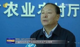 费县爆料新闻事件,惊曝重大事件引发社会关注