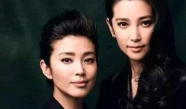 黑衣爆料李雪视频,揭秘背后惊人真相