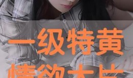 情欲迷离夜在线观看,一场禁忌的感官盛宴