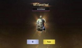 军需爆料和平精英最新,和平精英新版本揭秘，全新内容引玩家热议