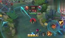 张小姐爆料王者荣耀视频,揭秘王者荣耀幕后真相