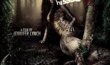 美国电影欲蛇在线观看