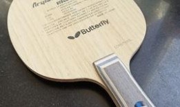 蝴蝶底板最新爆料,革命性设计引领乒乓球装备新潮流