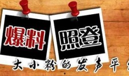 装修今日爆料新闻视频,揭秘今日爆料新闻视频背后的装修秘密