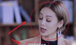 宁静采访爆料视频大全,揭秘娱乐圈幕后真相