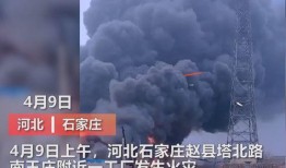 泉州媒体爆料事件视频曝光,泉州媒体曝光事件视频引发热议