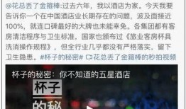 甘孜州酒店爆料事件视频,真相与争议交织