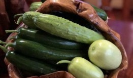 在哪里吃网红瓜,探寻美食背后的故事与魅力