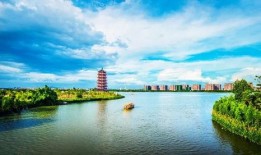 爆料阳湖二院事件视频播放,真相与争议交织