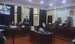 石家庄高邑最新爆料案件,真相背后，正义何在？