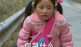 变形计丽姐在线观看,揭秘真实生活背后的感人故事