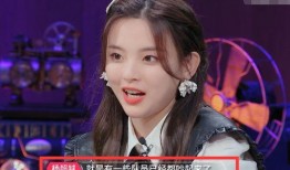 杨少最新 爆料,揭秘娱乐圈幕后真相