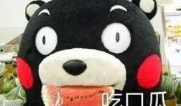 吃瓜音乐全部免费听,吃瓜音乐，免费畅听无拘束