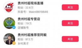 网红遭助力爆料视频大全,视频大全背后的真相与争议